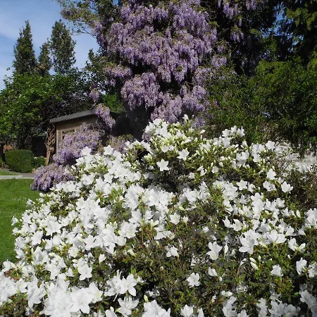 La Maison D'isaphil Bed & Breakfast 3*