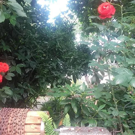 La Maison D'isaphil Bed & Breakfast Saint-James